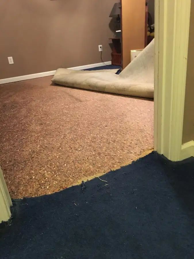 Carpet pad removal revealing water damage during Drying & Dehumidification in Newmarket