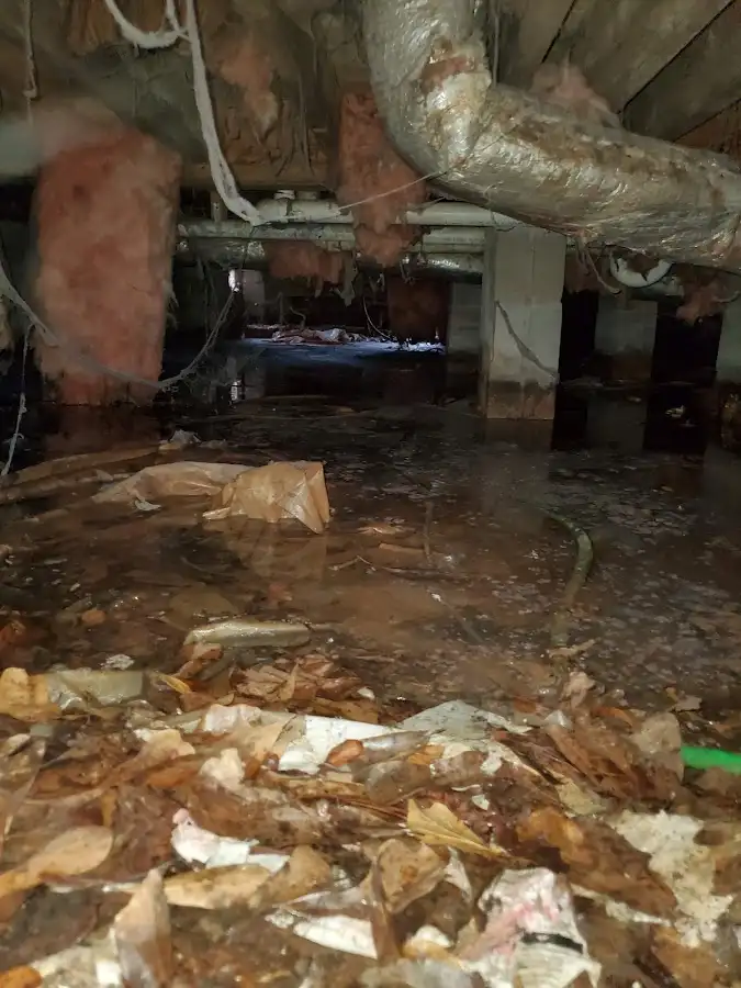 Crawl space flood assessment for Commercial Water Damage Restoration in Newmarket
